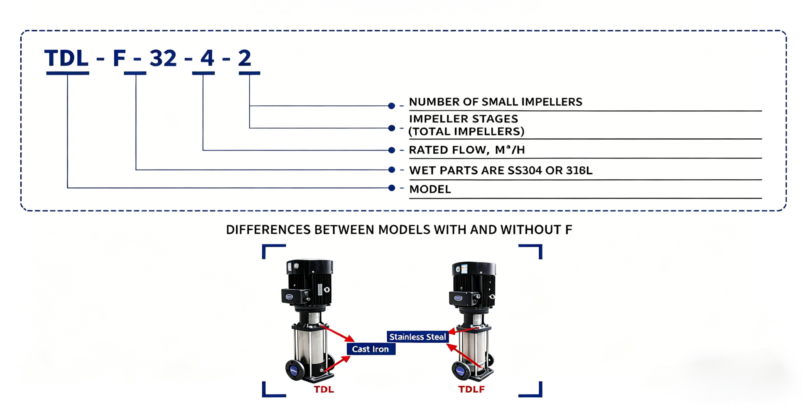 TDLF Model Meaning