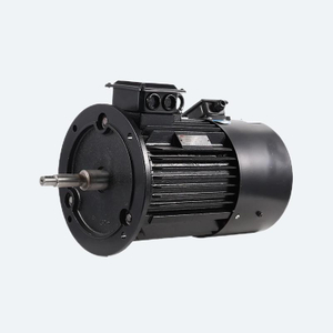 Electric YE3 Three Phase Asynchronous Motor for Vertical Pump