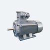 Environmental-friendly Reliable YBX4 Three-phase Asynchronous Motor for Chemical Usage