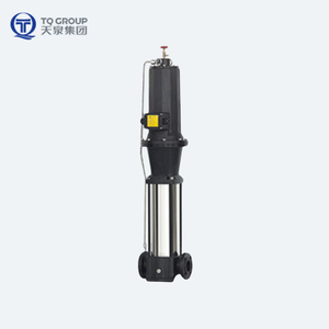 TPDF Vertical Multistage Canned Motor Pump