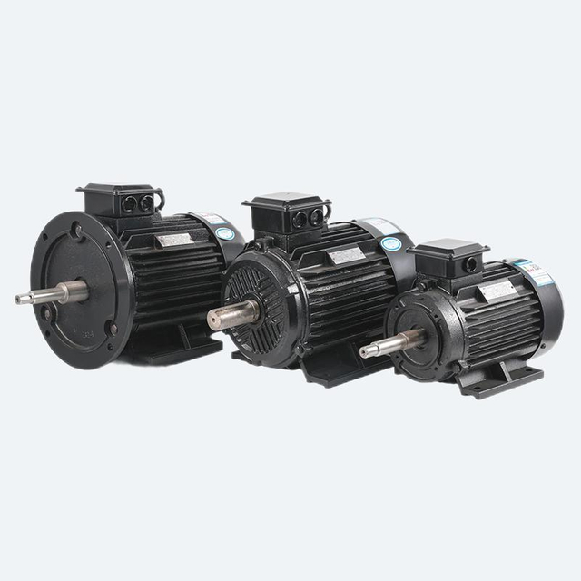 Electric YE3 Three Phase Asynchronous Motor for Vertical Pump