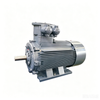 YBX4 Three-phase Explosion proof AC Motor for Chemical Usage